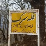 قله جنگلی سرک