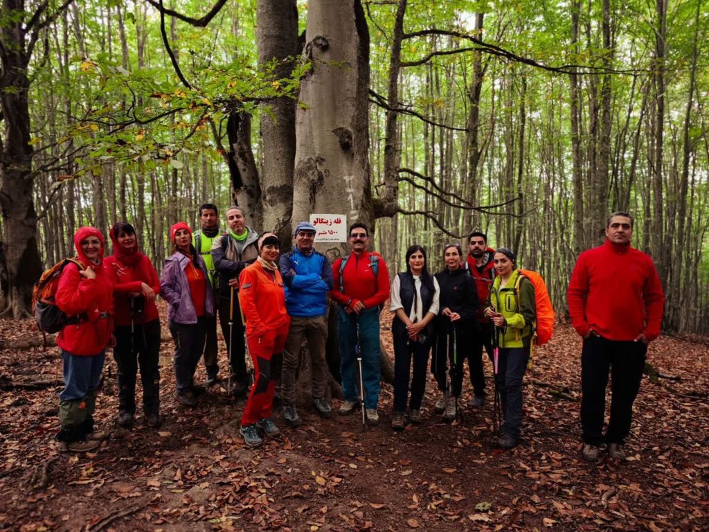 قله جنگلی زینگالو