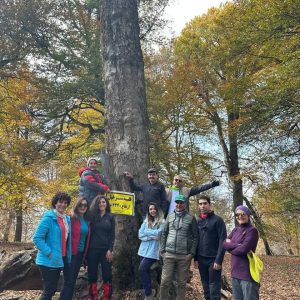 قله جنگلی سرخیل