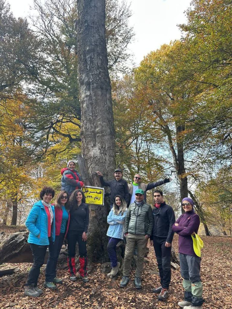 قله جنگلی سرخیل